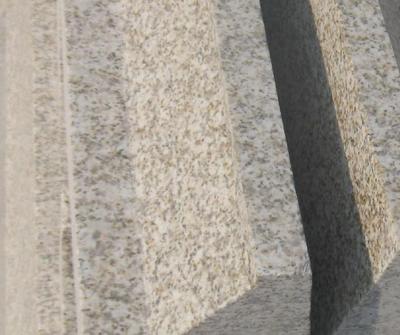 黄金麻路沿石 (5)